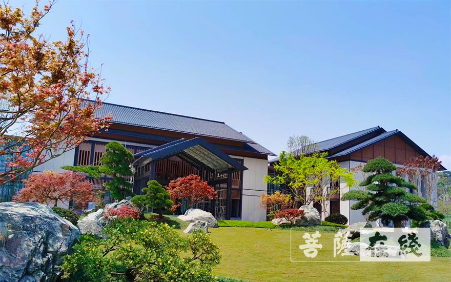 文化-舟山市委常委、统战部长王高瞻一行调研观音文化园观音法界项目