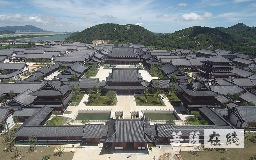文化-舟山市委常委、统战部长王高瞻一行调研观音文化园观音法界项目