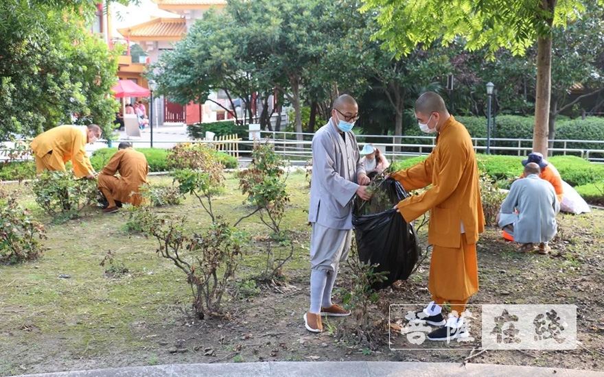 爱国卫生运动-上海七宝教寺积极开展爱国卫生运动 深入推进宗教活动场所环境综合整治