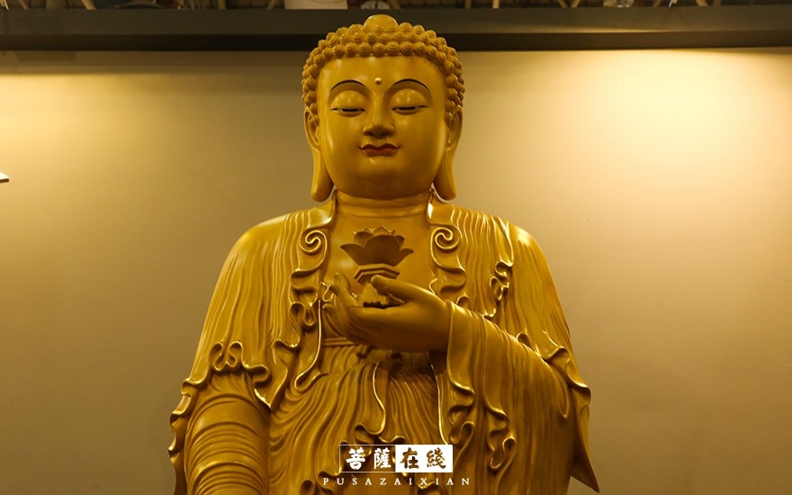 摄影-厦门佛事展进行中，高清大图共享佛禅盛会