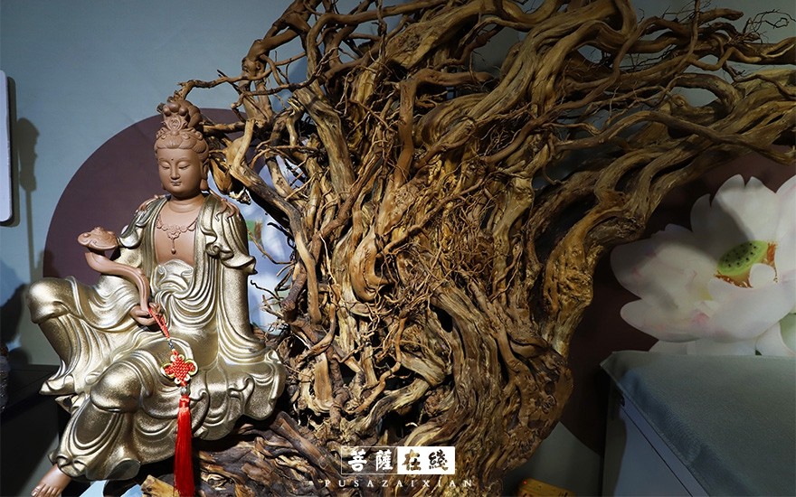 摄影-厦门佛事展进行中，高清大图共享佛禅盛会