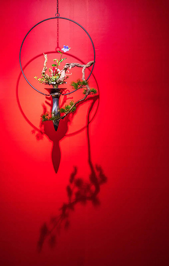 佛教-空华水月·玉佛印心——上海玉佛禅寺·华道家元池坊作品展开幕