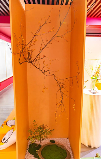 佛教-空华水月·玉佛印心——上海玉佛禅寺·华道家元池坊作品展开幕