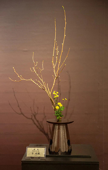 佛教-空华水月·玉佛印心——上海玉佛禅寺·华道家元池坊作品展开幕