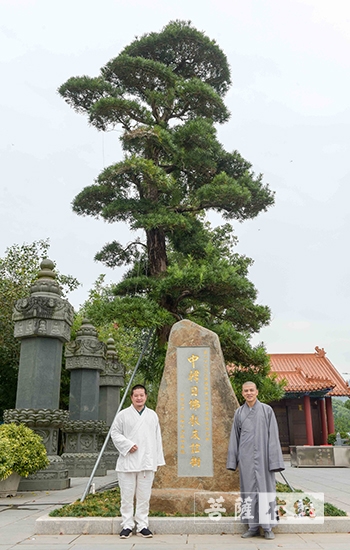 散文诗-国际著名诗人、书画家李垚治参访珠海普陀寺，以散文诗《书僧》留住法喜