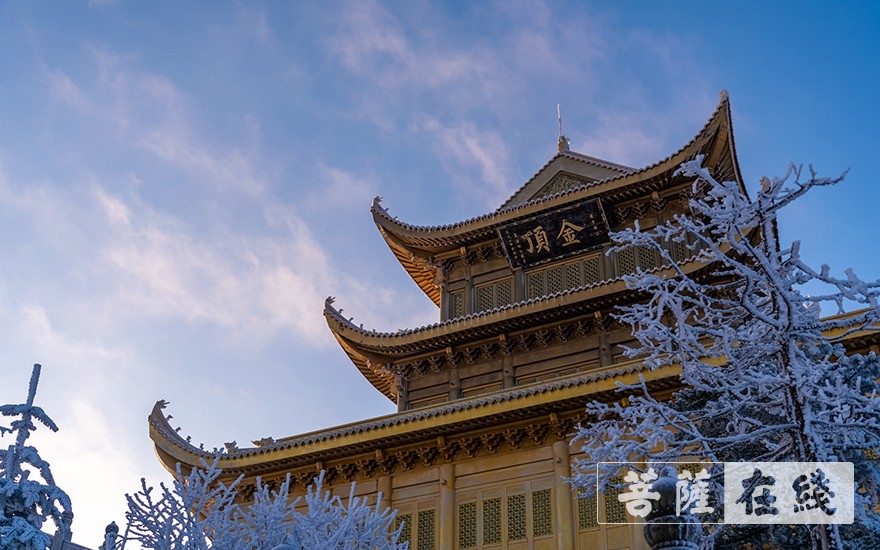 银色世界显真意 峨眉赏雪正当时 — 大菩文化