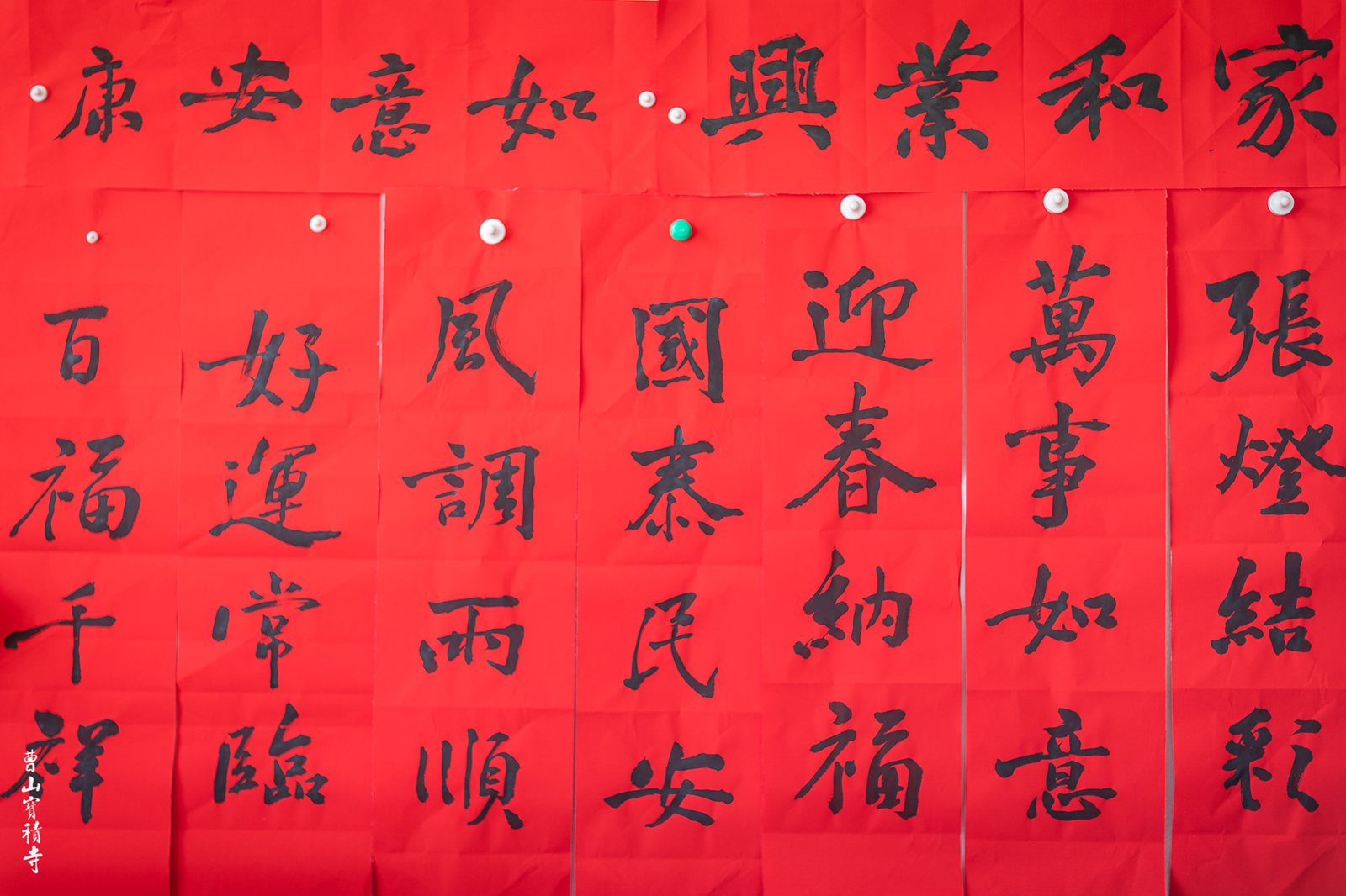 佛教-赏福梅 写春联 曹山宝积寺喜迎新春