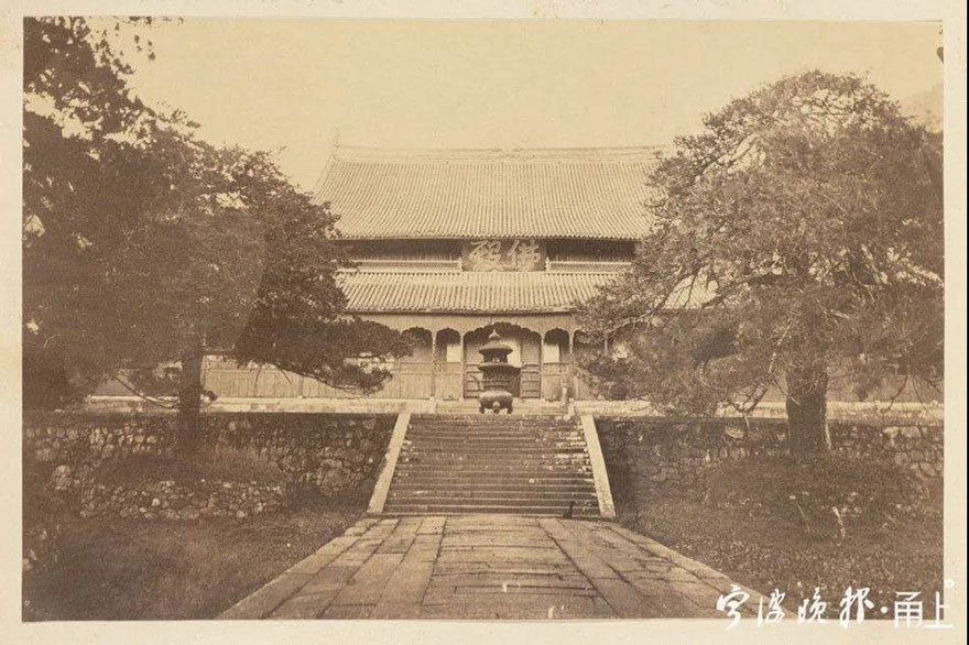 天童寺-宁波天童寺1260岁唐柏经救治后复荣
