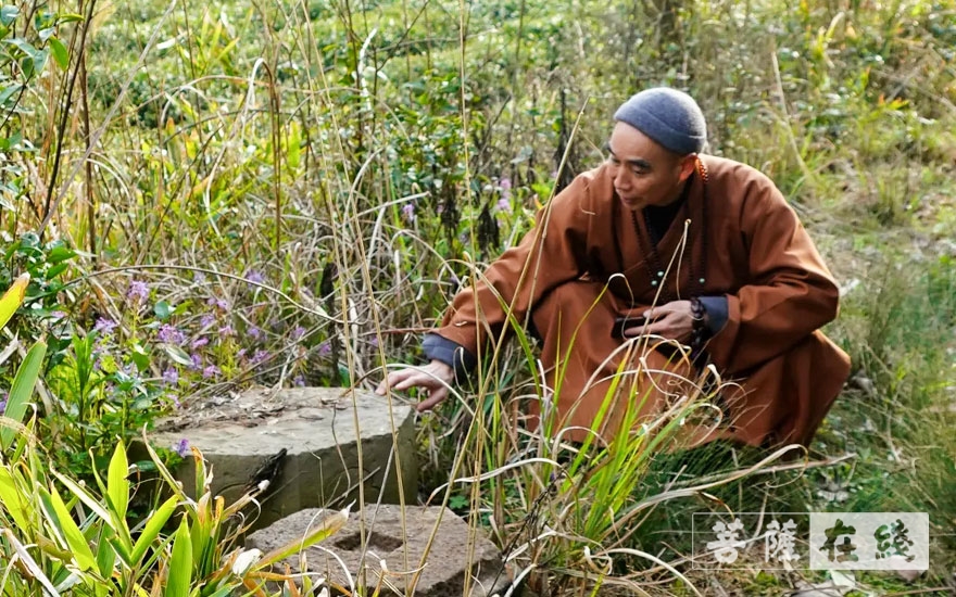 宁波-宁波天童禅寺古天童茶园新发现六节祖师塔石构件