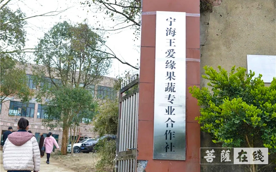 佛教-宁波市佛教协会一行赴宁海县岔路镇高塘村开展助力脱贫攻坚工作