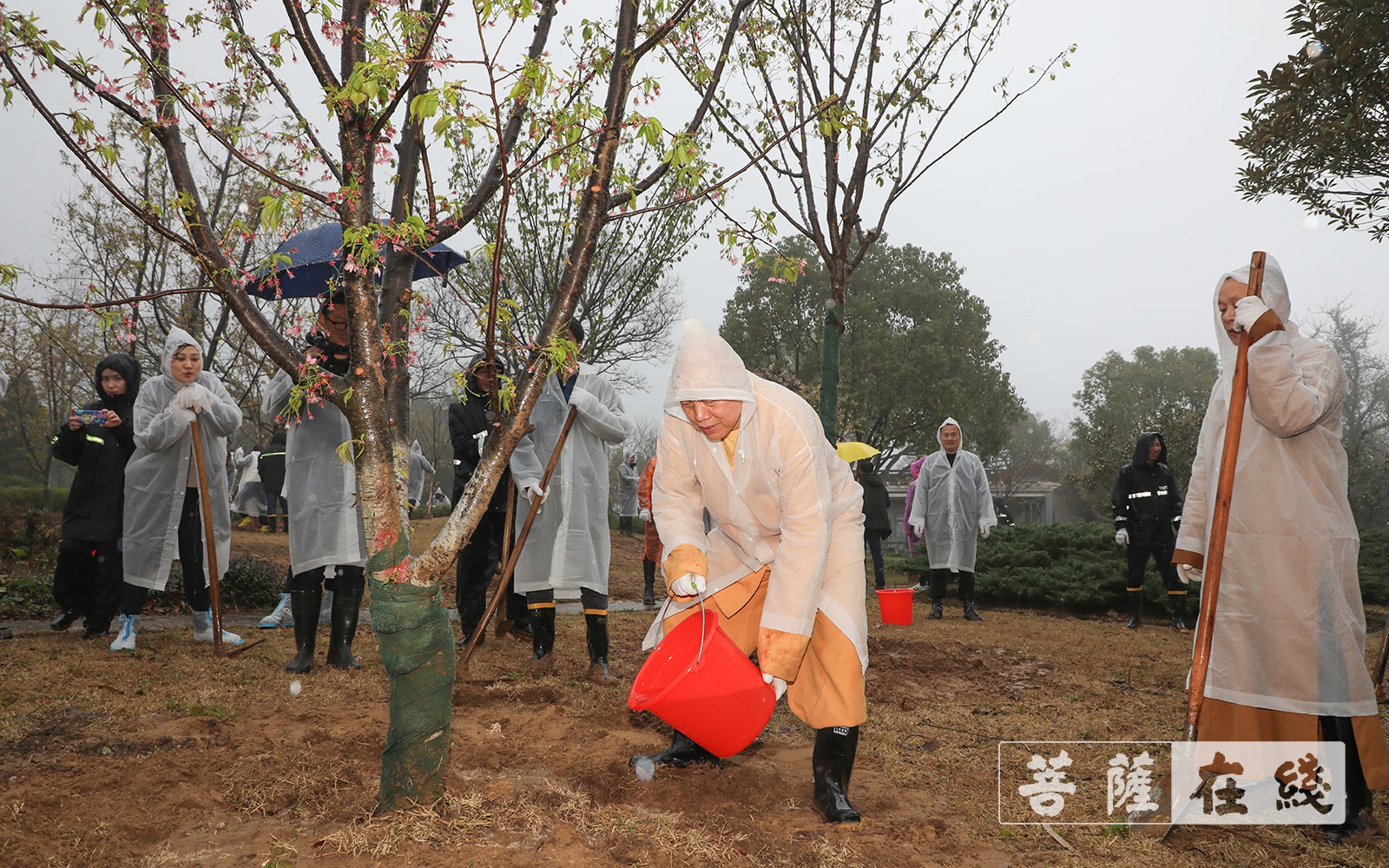 普陀山-道慈大和尚一行参加普陀山2021年春季义务植树活动