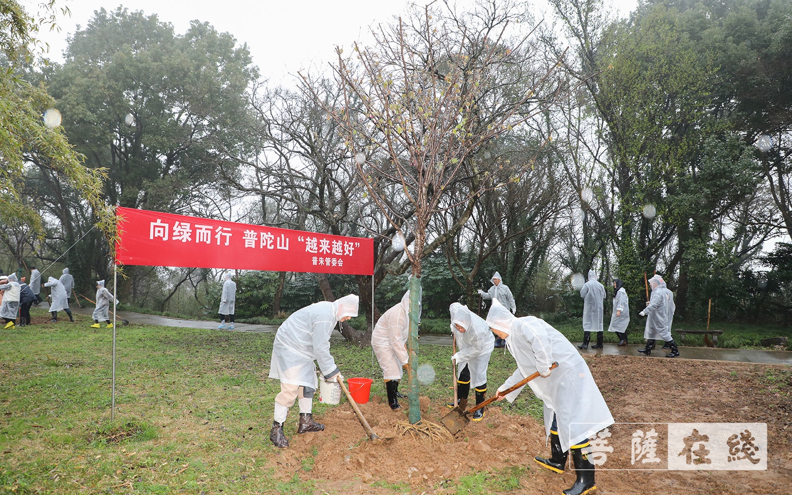 普陀山-道慈大和尚一行参加普陀山2021年春季义务植树活动