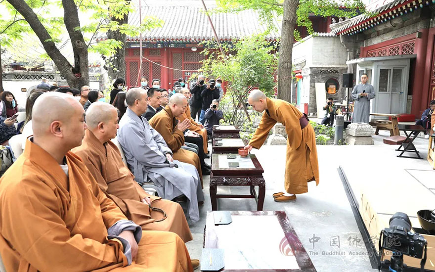 文化-茶暖心 恩难忘 中国佛学院举行2021年感恩丁香茶会