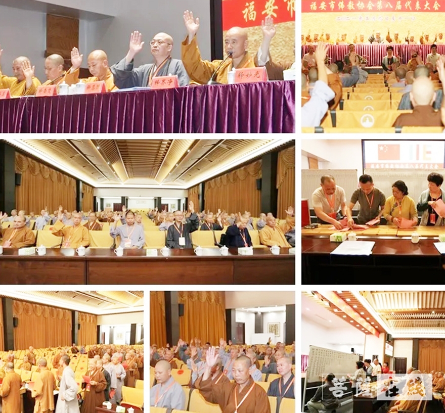 佛教-福安市佛教协会第八届代表大会闭幕 慧照法师当选新一届会长