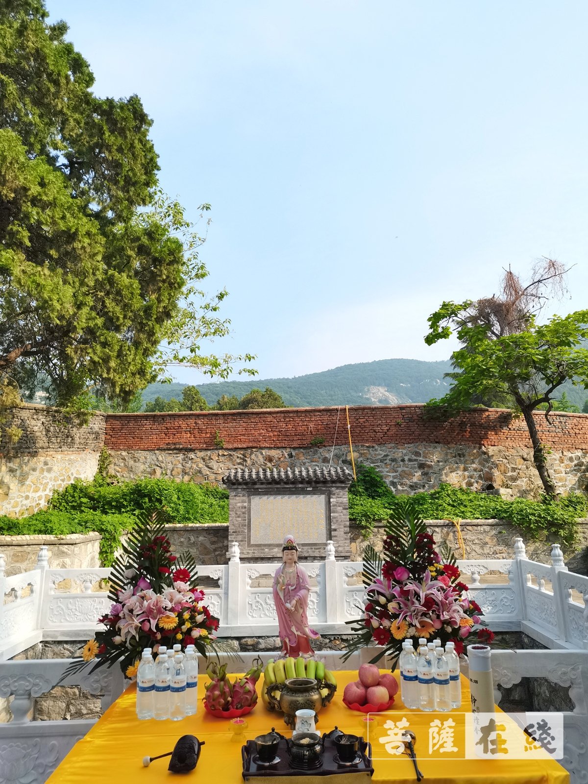 普照寺-泰山普照寺举行荷花荡复建工程开工仪式