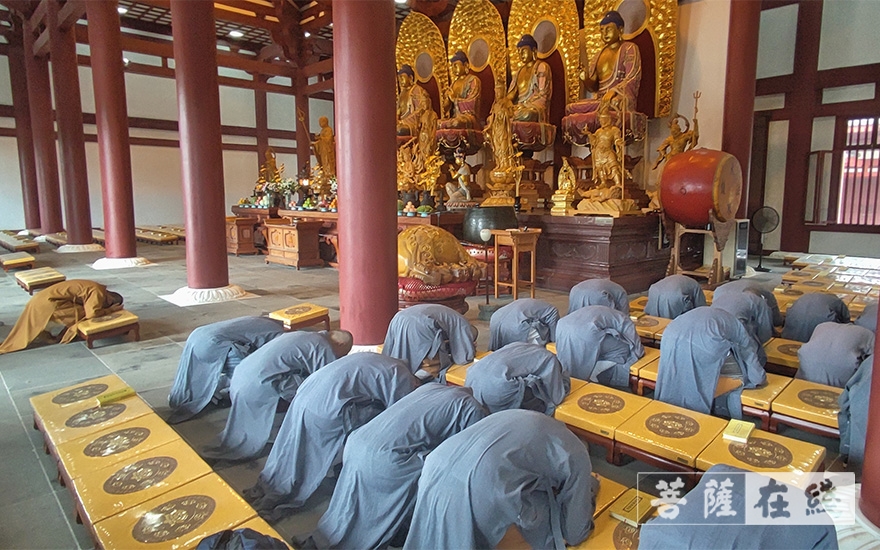 普陀山-中国佛学院普陀山学院2021届毕业生赴普陀山各寺院报到