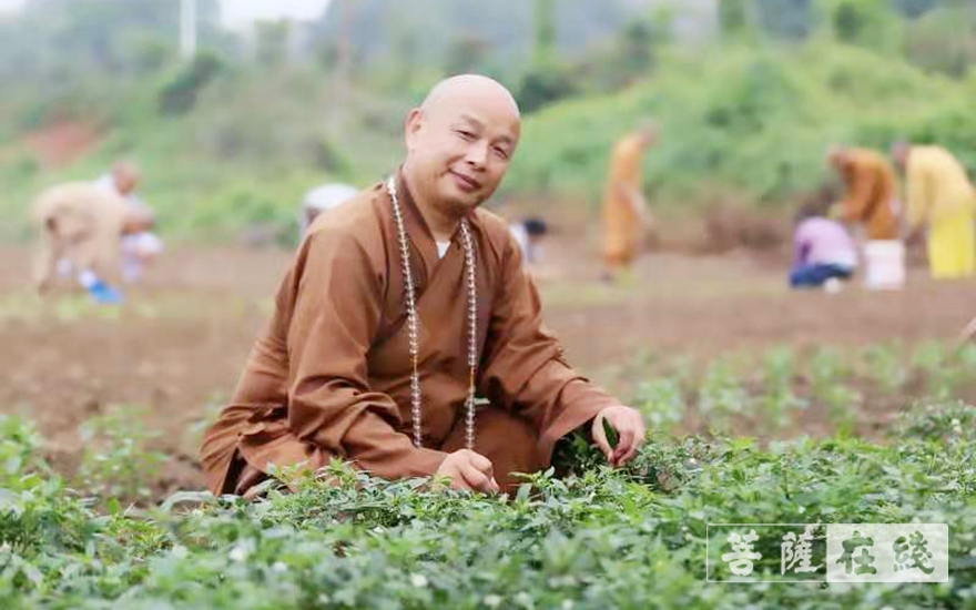 湖南省佛教協會副會長明良法師一行前往湘陰法華古寺考察