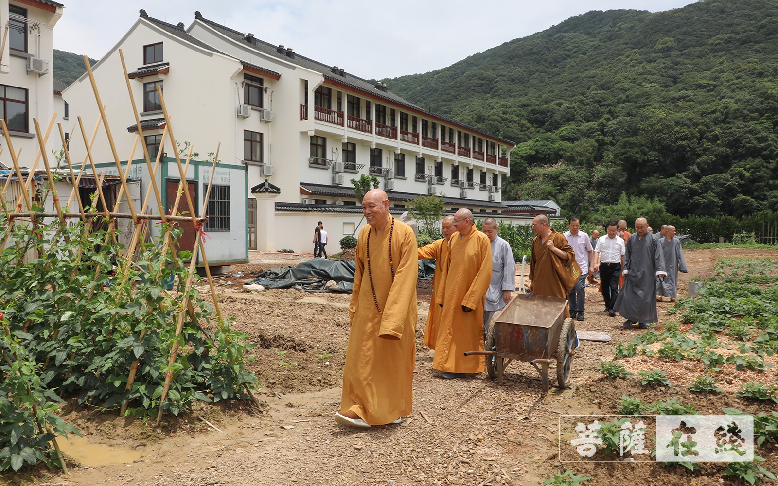 妙航和尚图片