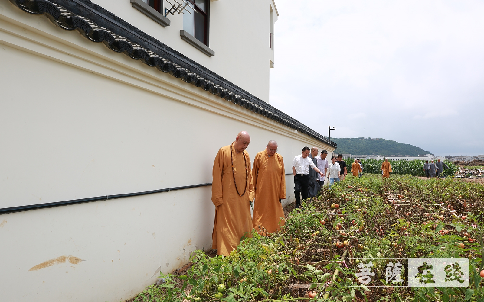 佛教-中国佛教协会副秘书长宏度法师一行参观普陀山普济农庄