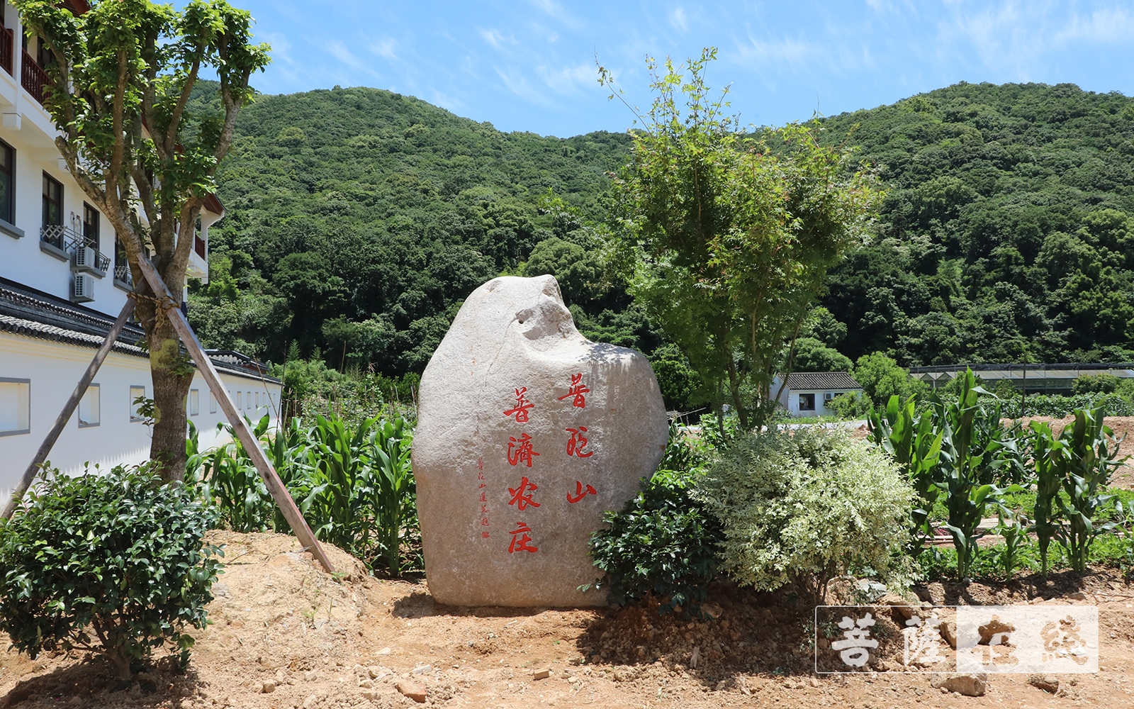 佛教-中国佛教协会副秘书长宏度法师一行参观普陀山普济农庄