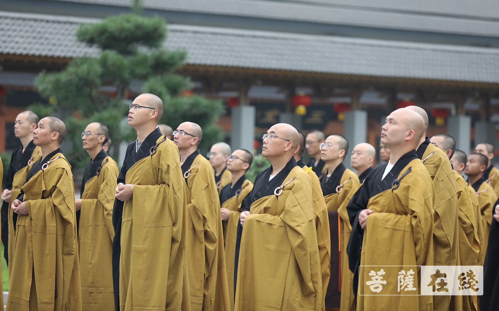 中国共产党-升国旗 看直播 浙江佛学院(总部)庆祝中国共产党成立100周年