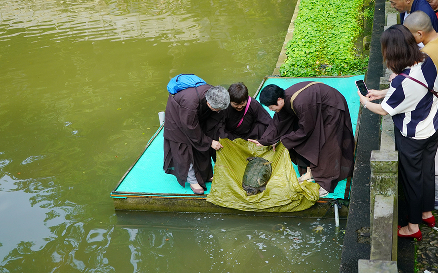 佛教-怡藏法师赴宁波天童禅寺探望修祥长老 佛教-怡藏法师赴宁波天童禅寺探望修祥长老