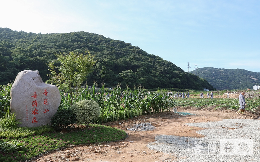 佛教-普济福田 农禅并重——道慈大和尚带领全体僧众出坡劳作