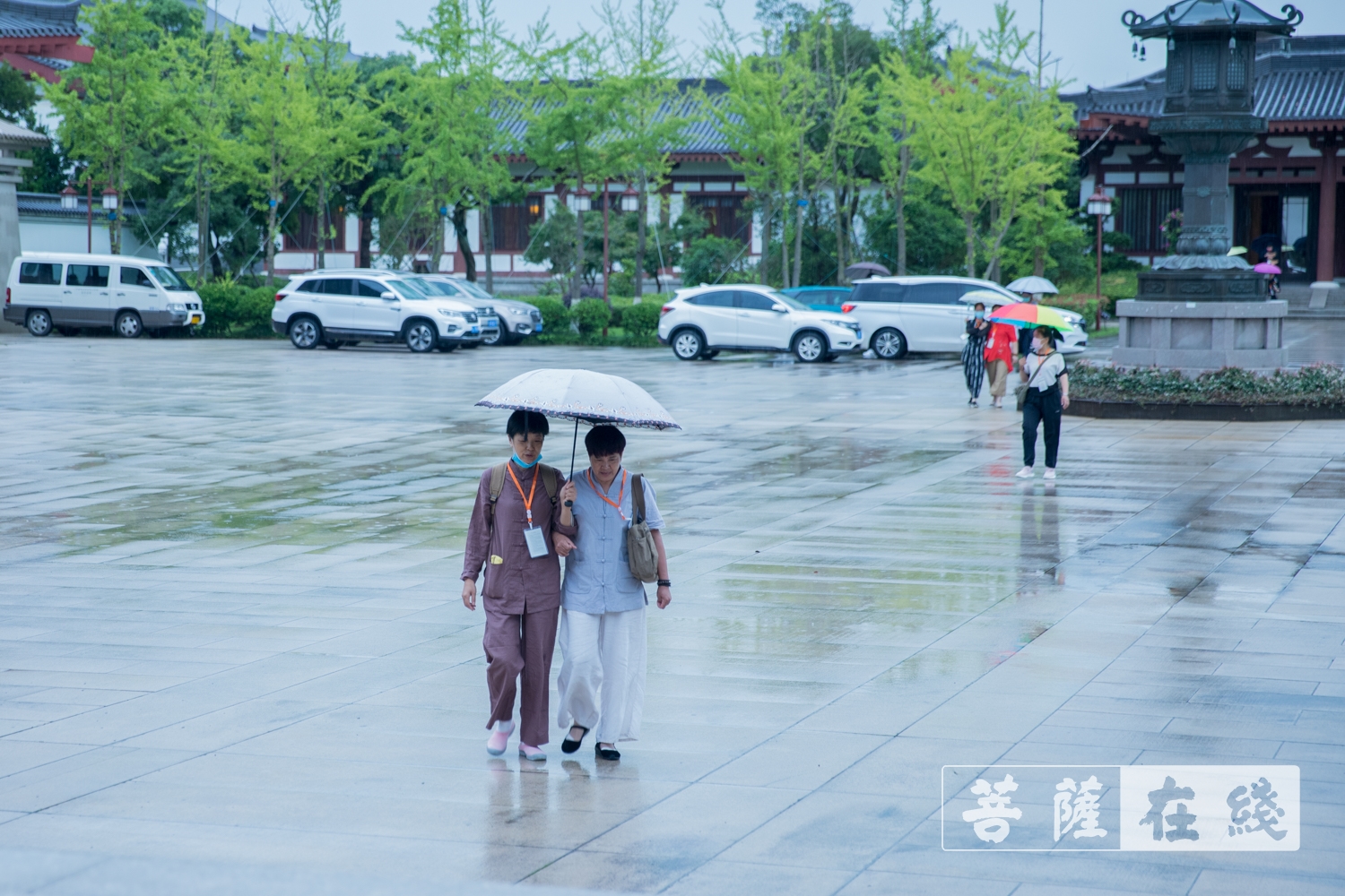 摄影-中国佛学院普陀山学院2021年第五期居士教育招生考试圆满