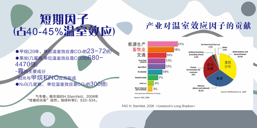 素食-第六届杭州素食文化节在香积寺成功举办
