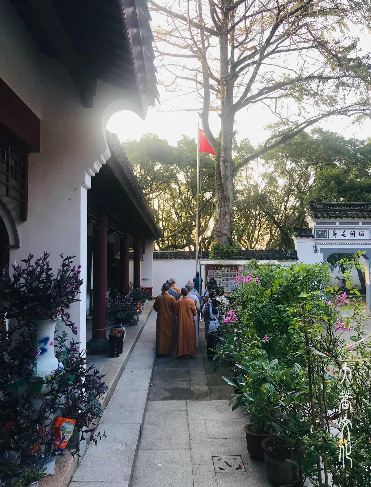 普陀山女众寺院图片