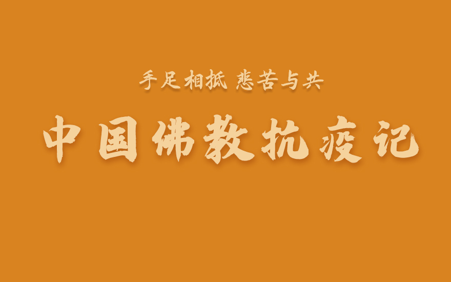 纪录片：中国佛教29日抗疫记