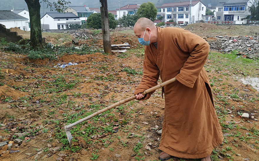 农禅并重｜上虞通泽寺绿色基地春耕“播种”忙