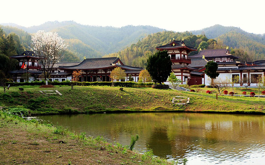 曹山视频 | 春分美景