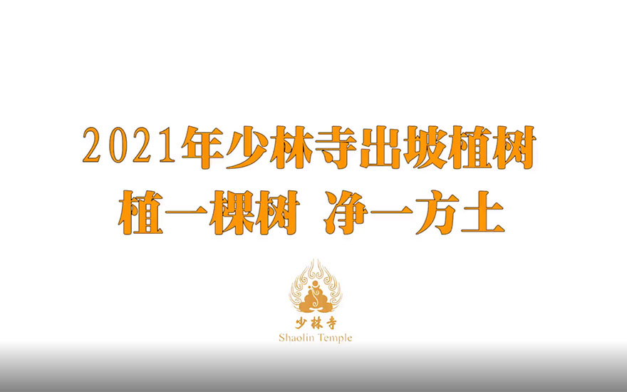 永信法师带领少林寺僧众出坡植树 发扬佛教农禅并重传统