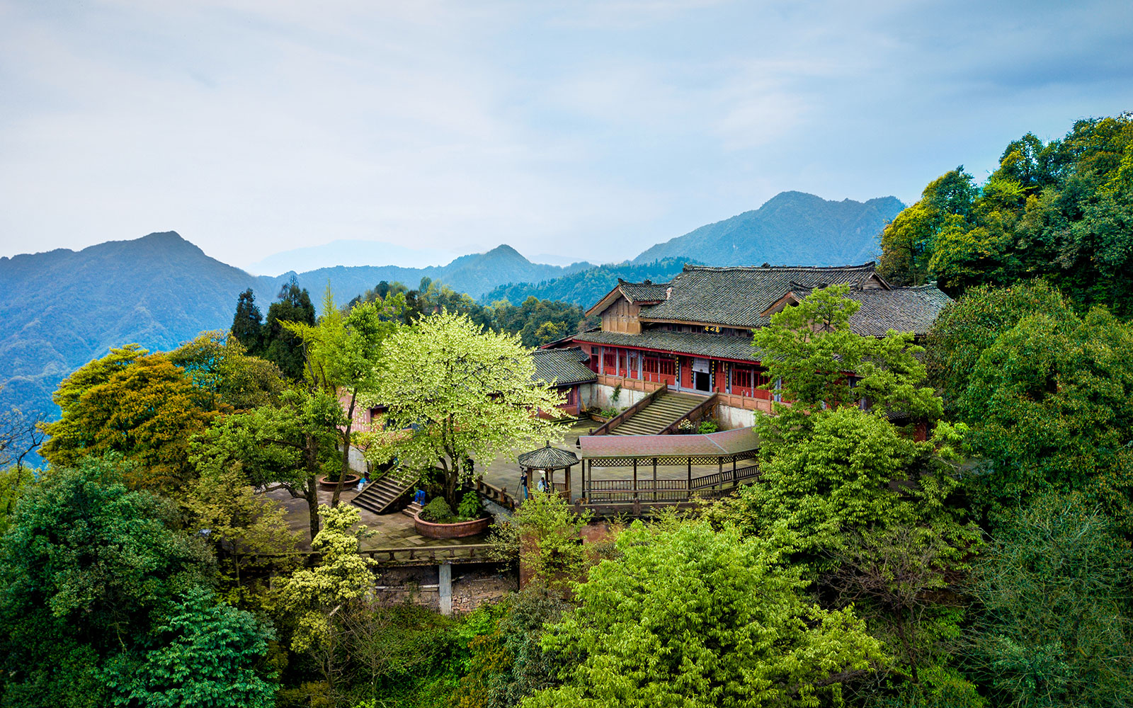 峨眉山春季盛景:息心所里珙桐开 一树奇花鸽翩然来源:峨眉山佛教网