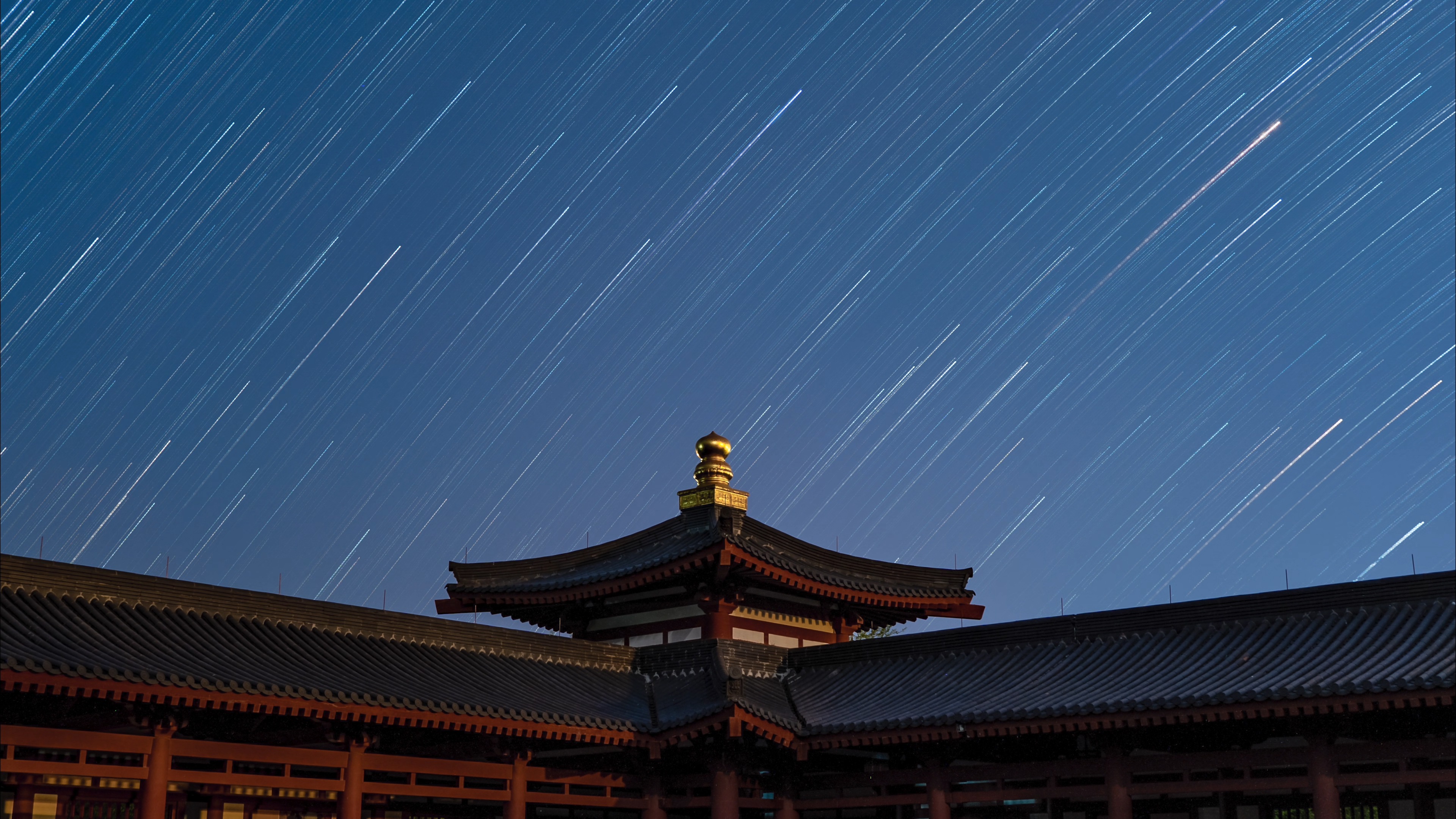 高等佛教院校培养僧才的"秘诀"