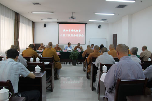 陕西省佛教协会六届三次常务理事会在西安召开