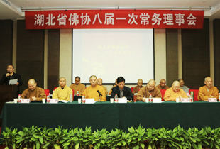 湖北省佛教协会八届一次常务理事会议在武昌召开
