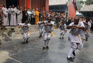 “非洲武术学员来华培训班”在武术圣地少林寺开班