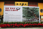 杭州灵隐寺首届“云林杯”禅意文化摄影展开幕