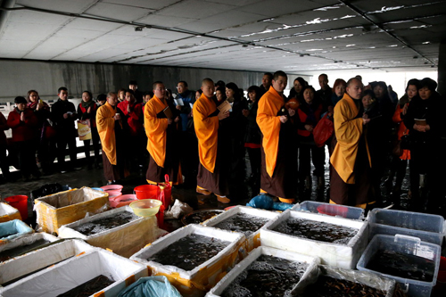 杭州灵隐寺举行放生活动为昆明暴恐事件伤亡同胞祈福