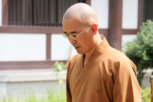 鸡年大吉 道伟法师送"吉祥" — 菩萨在线