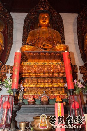 佛教-上海玉佛禅寺隆重举行乙未年释迦牟尼佛出家纪念法会