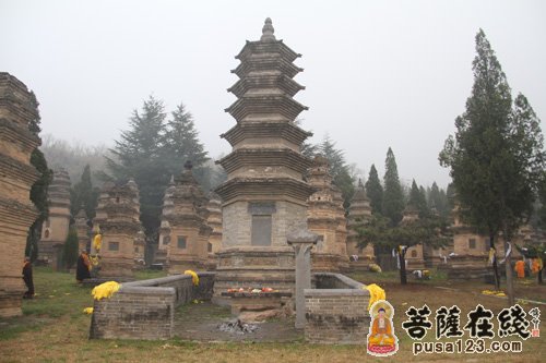 少林寺-嵩山少林寺清明祭祖法会 永信大和尚主法