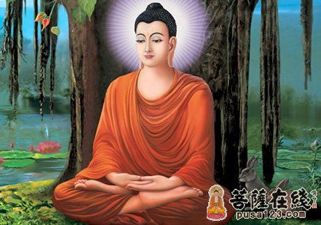 菩提树-大安法师：种一颗菩提树跟阿弥陀佛结法缘