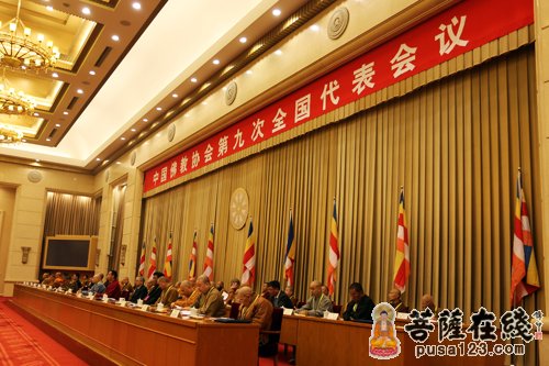中国佛教协会第九次全国代表会议举行第二次全体会议