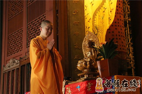 灵隐寺-感恩与结缘  感受杭州灵隐寺一年一度的“云林茶会”