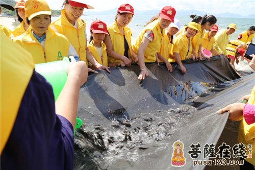 廣東惠州清泉古寺首屆海上大放生及消災祈福法會圓滿