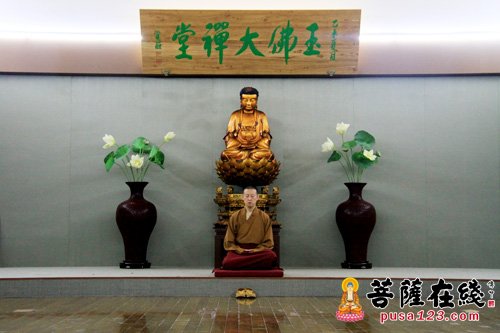 上海玉佛禅寺“玉佛问禅初级禅修课程”体验营开启