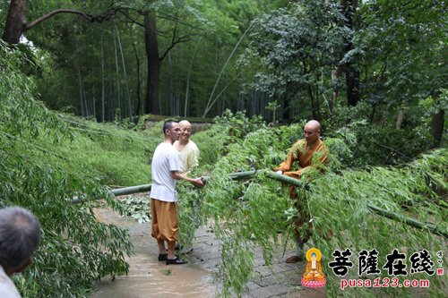 台风-宁波天童寺诚信大和尚携僧众开展台风后寺院恢复活动